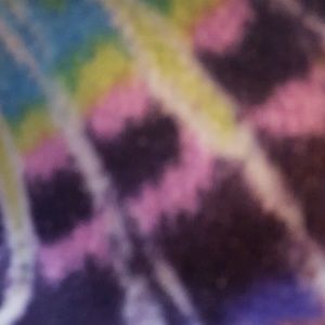 Meet your Posher, Reagan